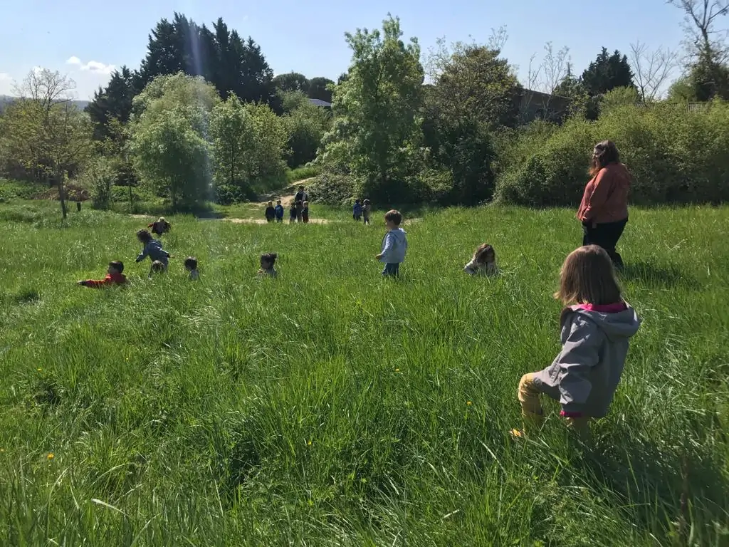 Enfants dans la nature lors d'une classe en forêt