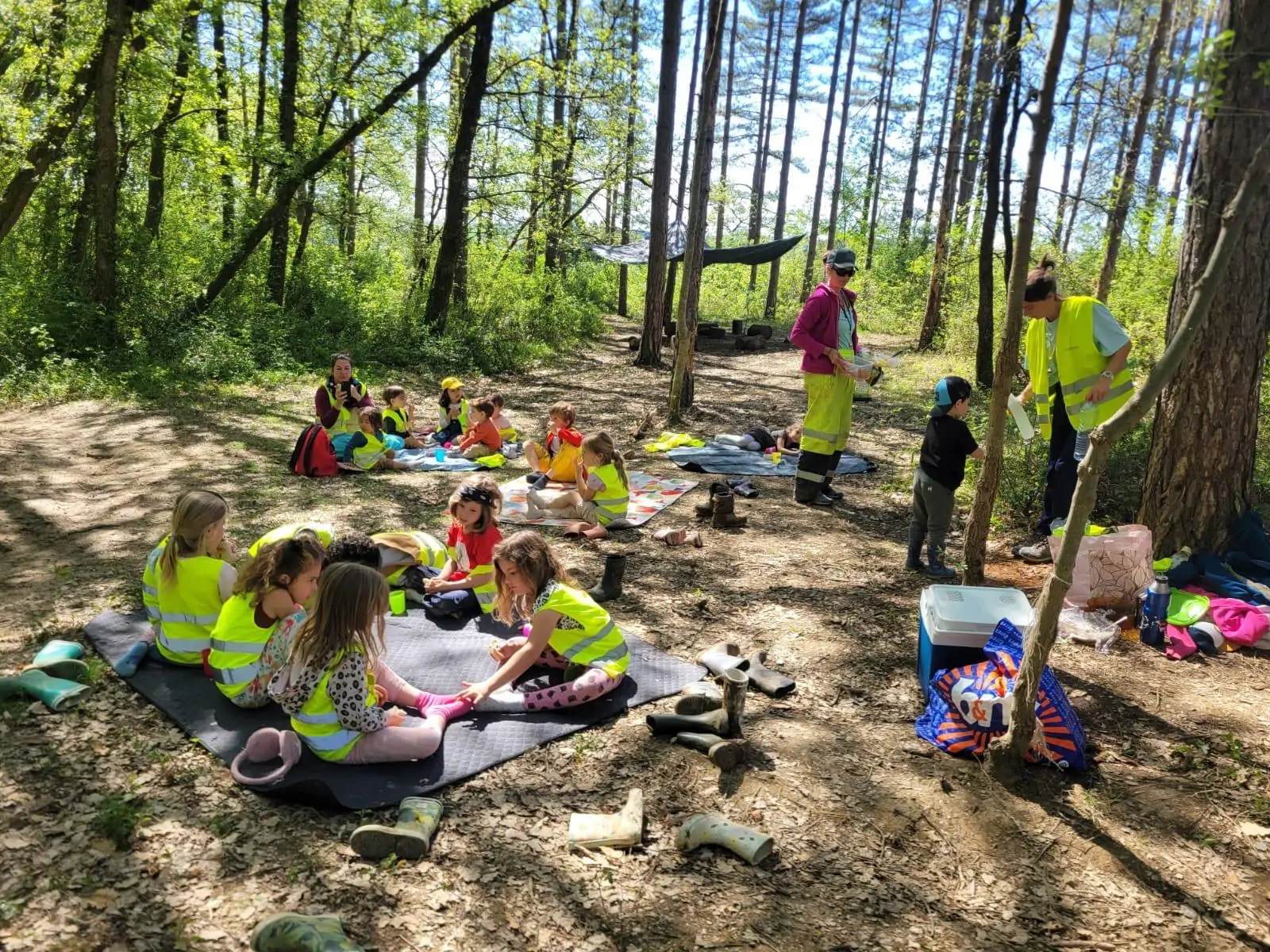 Enfants en classe en forêt