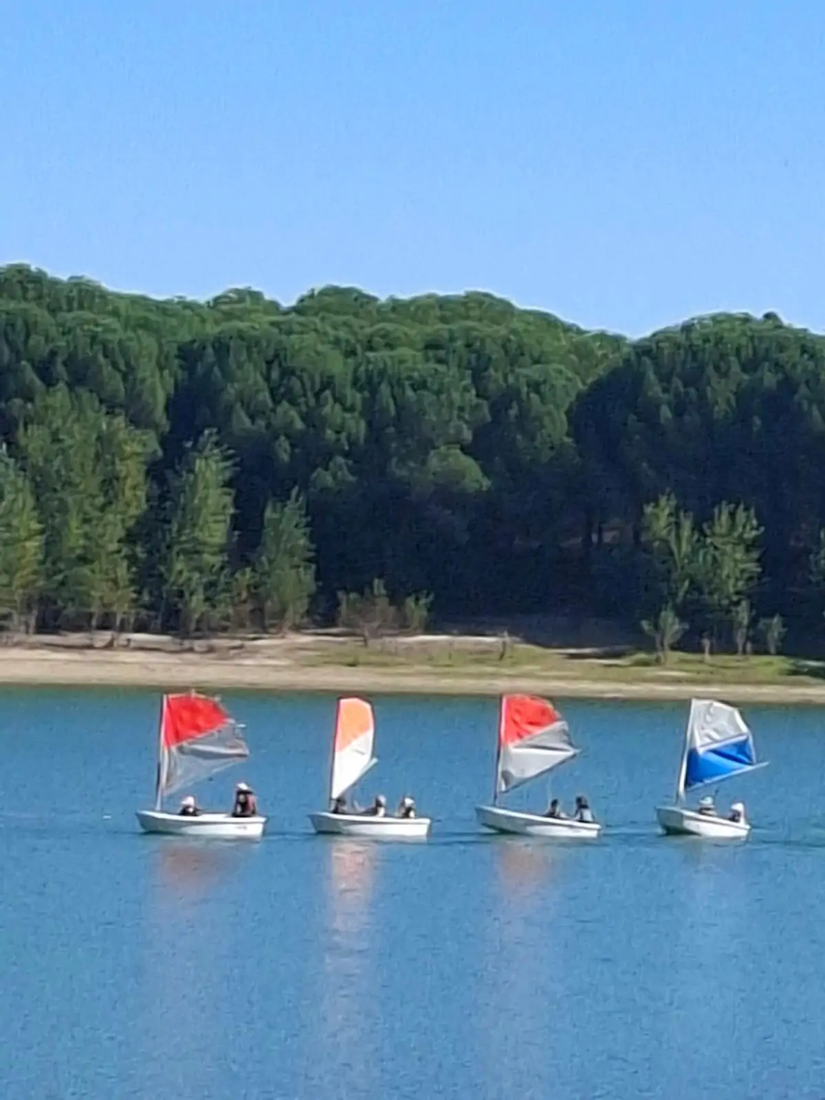 Enfants lors d'une sortie voile